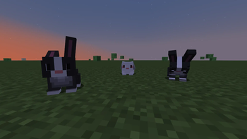 Bunny world gameplay placeholder